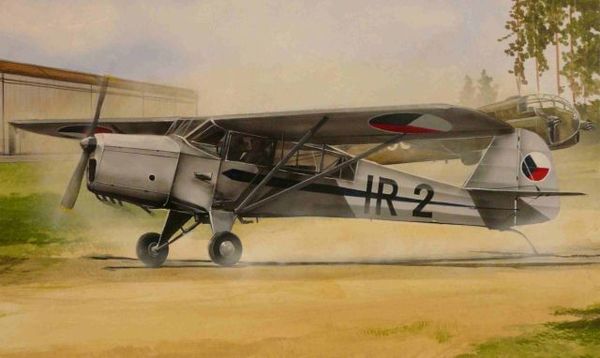 Auster